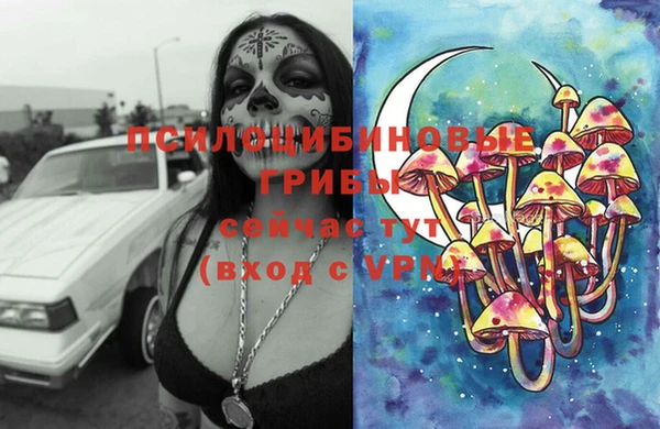 прущие грибы Корсаков