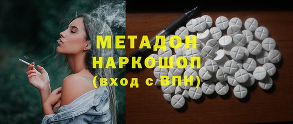 прущие грибы Корсаков