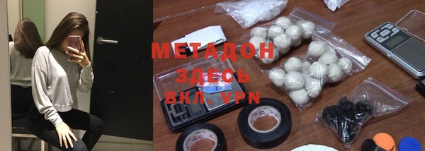 прущие грибы Корсаков