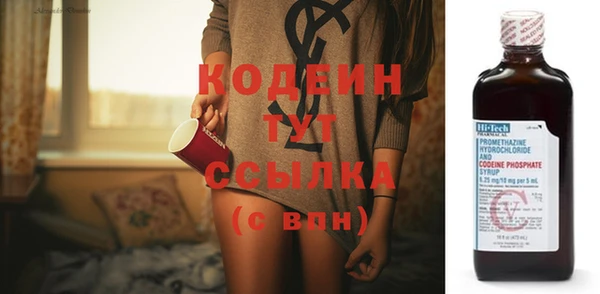 прущие грибы Корсаков