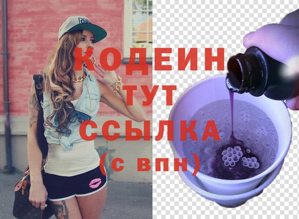 прущие грибы Корсаков