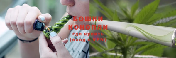 прущие грибы Корсаков