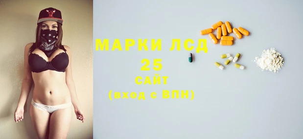 прущие грибы Корсаков