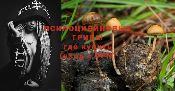 бутират Костерёво
