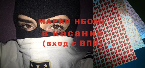 прущие грибы Корсаков