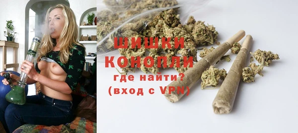 прущие грибы Корсаков